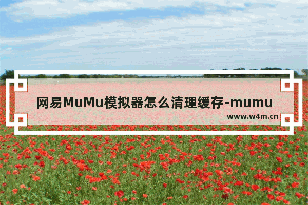 网易MuMu模拟器怎么清理缓存-mumu模拟器运行磁盘清理的方法