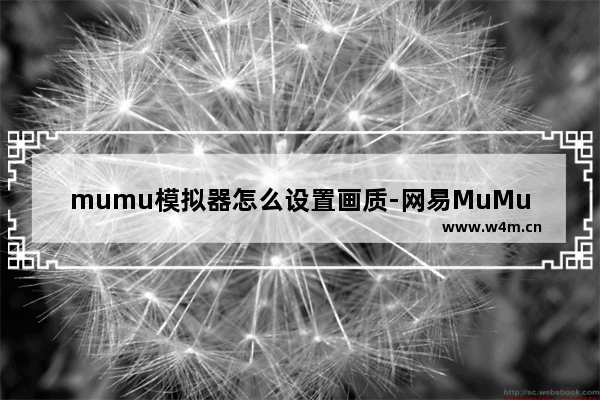 mumu模拟器怎么设置画质-网易MuMu模拟器设置分辨率的方法