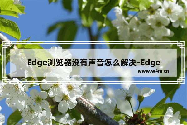 Edge浏览器没有声音怎么解决-Edge浏览器没有声音解决方法