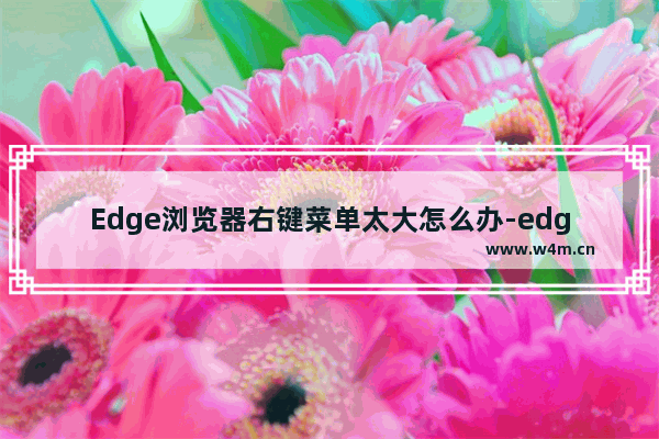 Edge浏览器右键菜单太大怎么办-edge右键菜单过大的解决方法