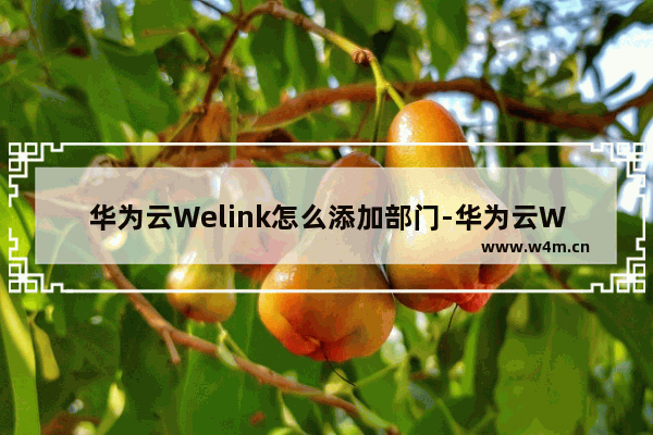 华为云Welink怎么添加部门-华为云Welink添加部门的方法教程