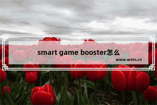 smart game booster怎么调中文-smart game booster中文在哪设置