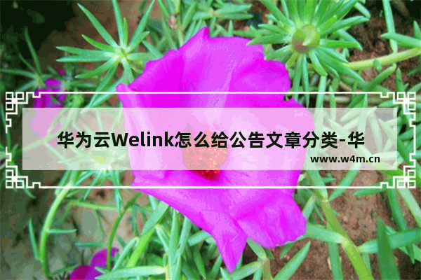 华为云Welink怎么给公告文章分类-华为云Welink公告文章分类教程