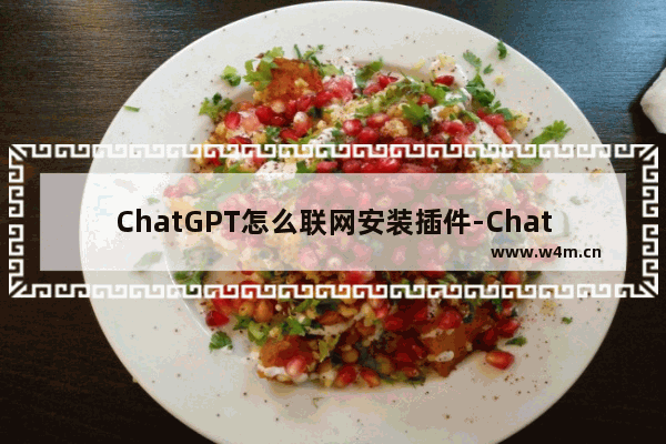 ChatGPT怎么联网安装插件-ChatGPT联网插件安装步骤