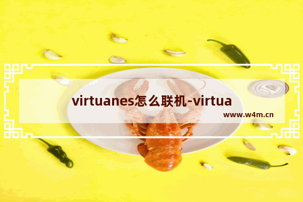 virtuanes怎么联机-virtuanes联机方法教程