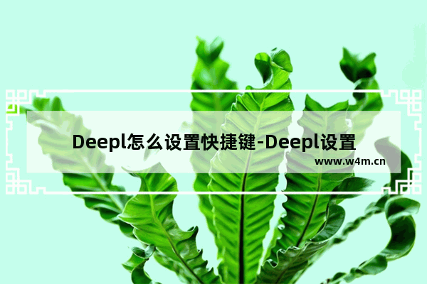 Deepl怎么设置快捷键-Deepl设置快捷键的方法教程