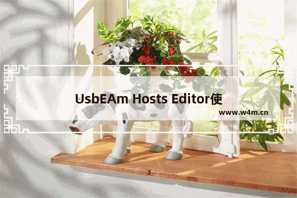 UsbEAm Hosts Editor使用教程-usbeam hosts editor怎么加速游戏