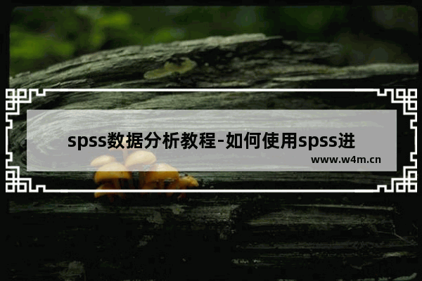 spss数据分析教程-如何使用spss进行数据分析