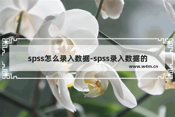 spss怎么录入数据-spss录入数据的方法教程