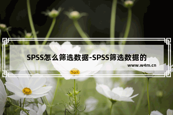 SPSS怎么筛选数据-SPSS筛选数据的方法教程