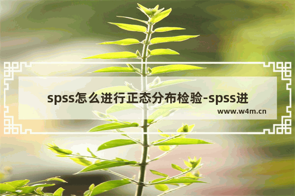 spss怎么进行正态分布检验-spss进行正态分布检验的方法教程