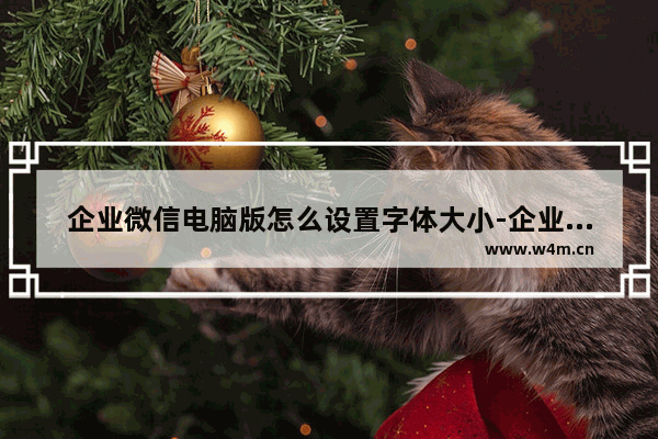 企业微信电脑版怎么设置字体大小-企业微信电脑版设置字体大小的方法教程