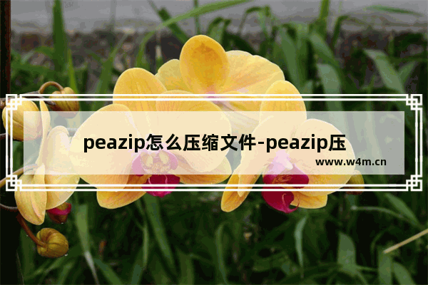 peazip怎么压缩文件-peazip压缩文件的方法教程