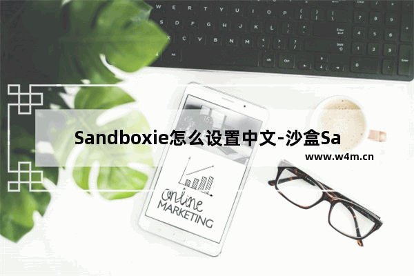 Sandboxie怎么设置中文-沙盒Sandboxie中文设置教程