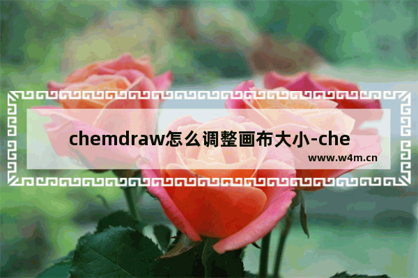 chemdraw怎么调整画布大小-chemdraw调整画布大小的方法教程