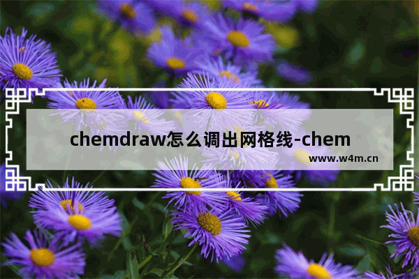 chemdraw怎么调出网格线-chemdraw调出网格线的方法教程