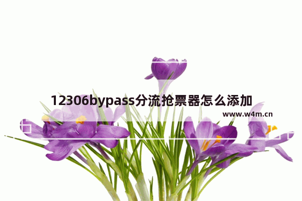 12306bypass分流抢票器怎么添加乘客-12306bypass分流抢票器添加乘客的方法教程