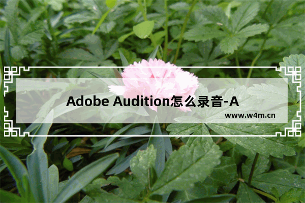 Adobe Audition怎么录音-Adobe Audition录音的方法教程