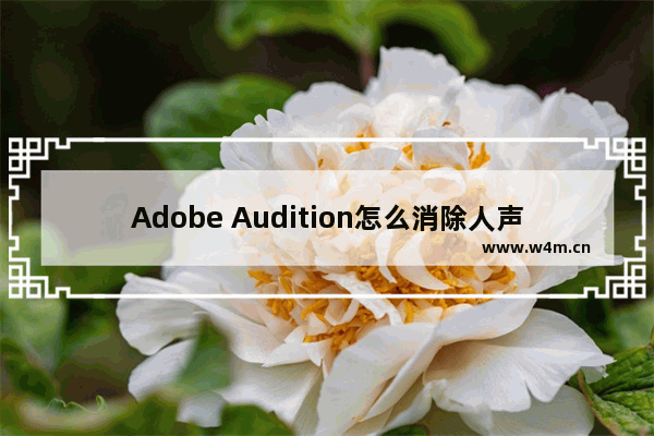 Adobe Audition怎么消除人声-Adobe Audition消除人声的方法教程