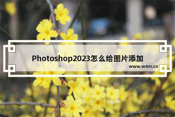 Photoshop2023怎么给图片添加边框-Photoshop2023给图片添加边框的方法教程