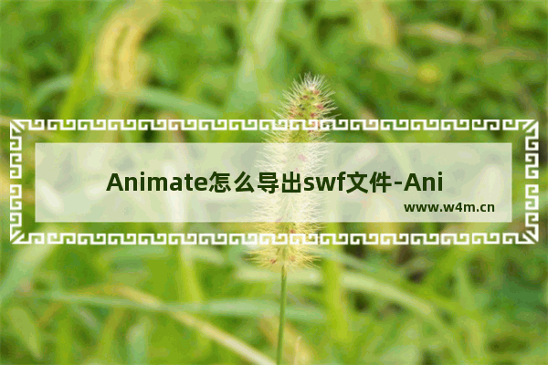 Animate怎么导出swf文件-Animate导出swf文件的方法教程