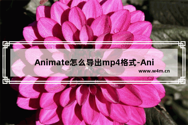 Animate怎么导出mp4格式-Animate导出mp4格式的方法教程