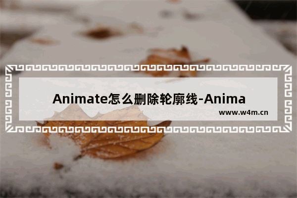 Animate怎么删除轮廓线-Animate删除轮廓线的方法教程