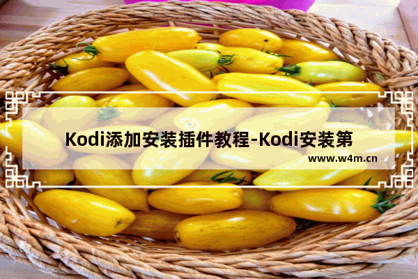 Kodi添加安装插件教程-Kodi安装第三方私人插件