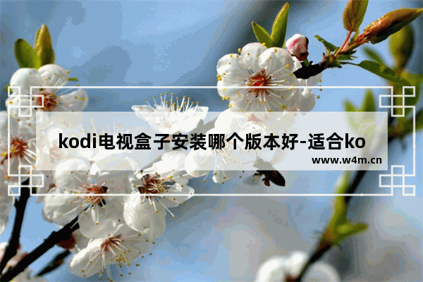 kodi电视盒子安装哪个版本好-适合kodi使用的电视盒子