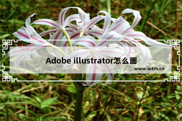 Adobe illustrator怎么画网格-Adobe illustrator画网格的方法教程