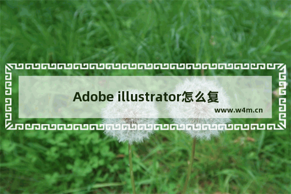 Adobe illustrator怎么复制图层-Adobe illustrator复制图层的方法教程