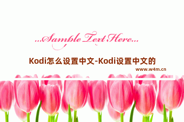 Kodi怎么设置中文-Kodi设置中文的方法教程