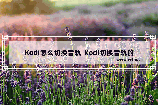 Kodi怎么切换音轨-Kodi切换音轨的方法教程