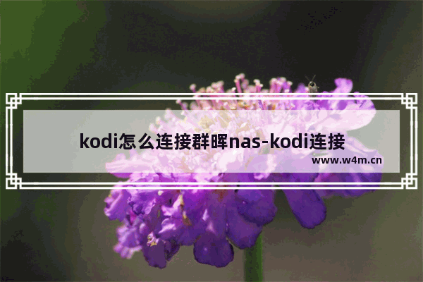 kodi怎么连接群晖nas-kodi连接群晖nas的方法教程