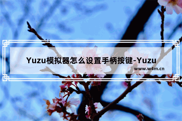 Yuzu模拟器怎么设置手柄按键-Yuzu模拟器设置手柄按键的方法教程