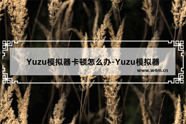 Yuzu模拟器卡顿怎么办-Yuzu模拟器最流畅设置的方法教程