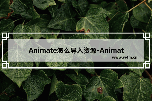 Animate怎么导入资源-Animate导入资源的方法教程