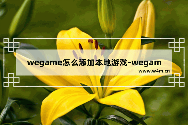 wegame怎么添加本地游戏-wegame添加本地游戏的方法教程