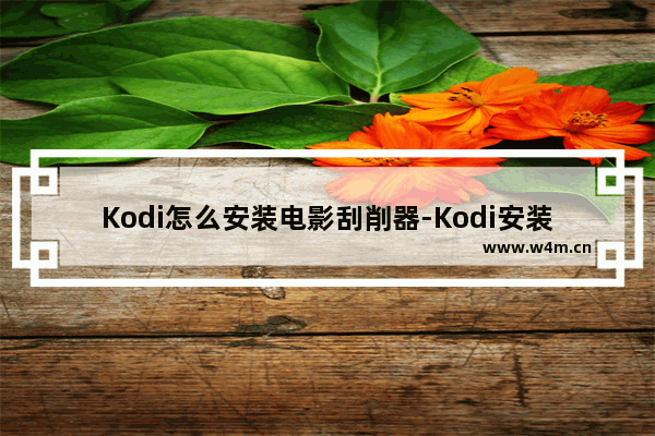 Kodi怎么安装电影刮削器-Kodi安装电影刮削器的方法教程