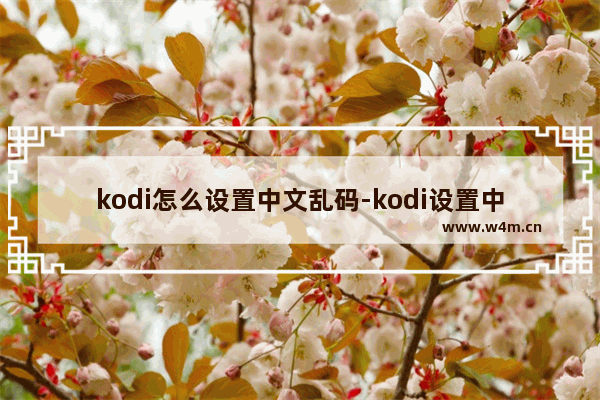 kodi怎么设置中文乱码-kodi设置中文乱码的方法教程