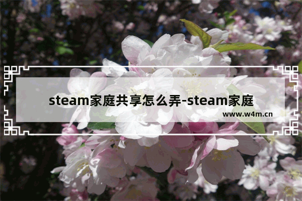 steam家庭共享怎么弄-steam家庭共享设置方法