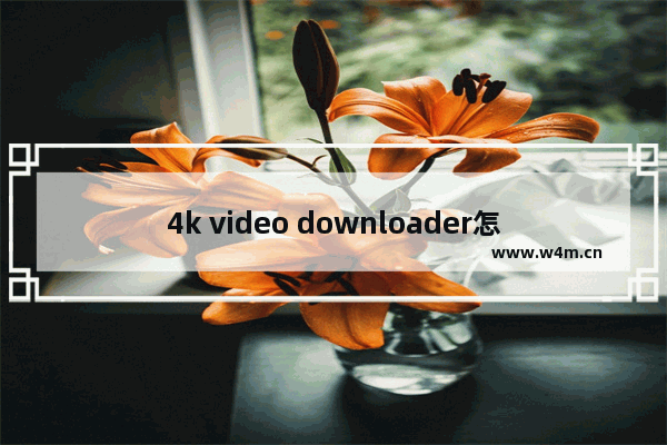 4k video downloader怎么下载4K视频-4k video downloader下载4K视频的方法教程