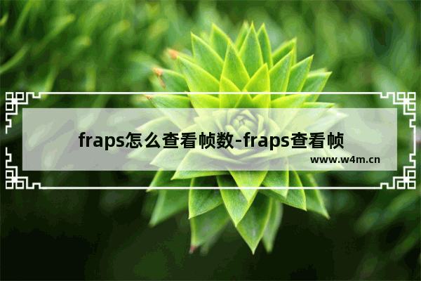 fraps怎么查看帧数-fraps查看帧数的方法教程