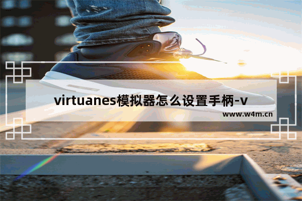 virtuanes模拟器怎么设置手柄-virtuanes模拟器设置手柄的方法教程