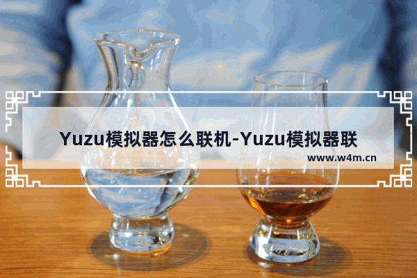 Yuzu模拟器怎么联机-Yuzu模拟器联机方法教程