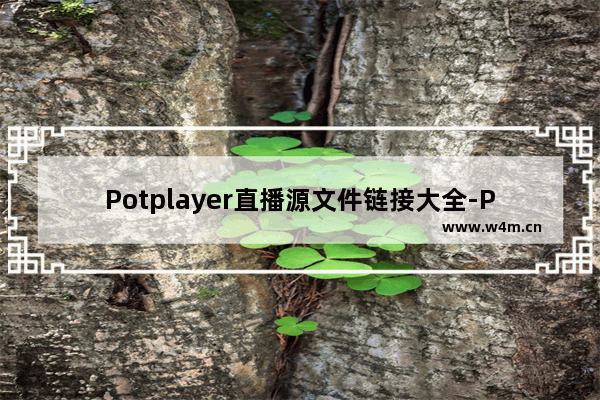 Potplayer直播源文件链接大全-Potplayer直播源导入方法教程