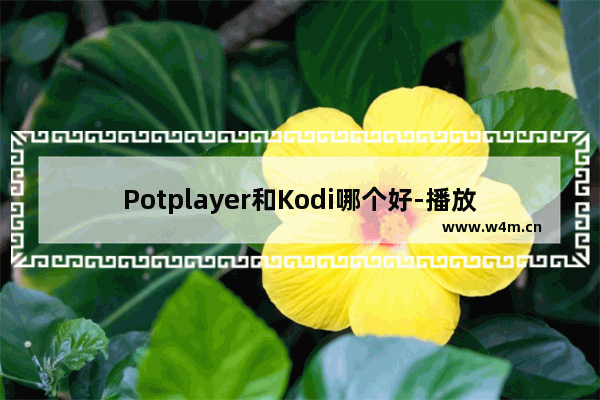 Potplayer和Kodi哪个好-播放4k谁更好