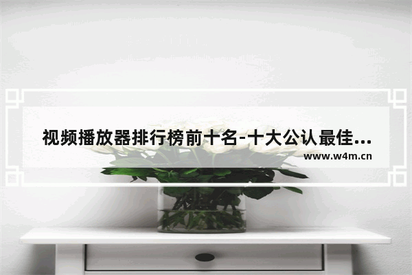 视频播放器排行榜前十名-十大公认最佳播放器