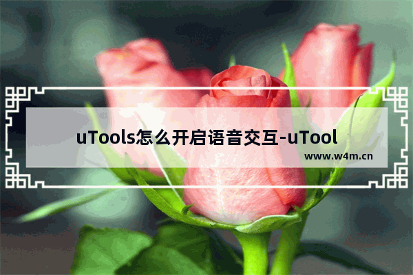 uTools怎么开启语音交互-uTools开启语音交互的方法教程