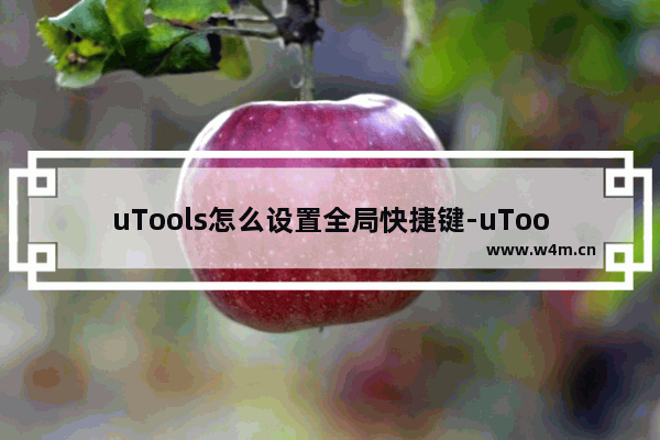 uTools怎么设置全局快捷键-uTools设置全局快捷键的方法教程